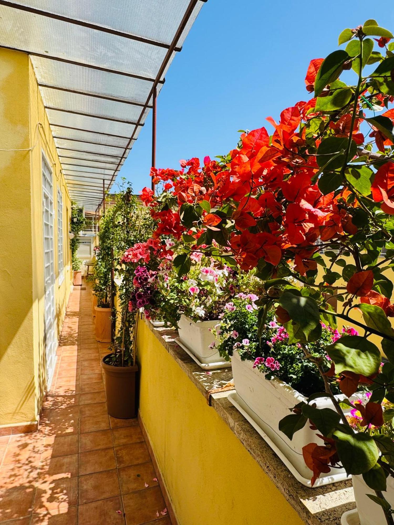 Otranto 36 Lägenhet Rom Exteriör bild